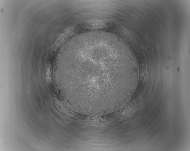 X0000056030866200508221512