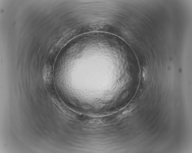 X0000056030867200508221511