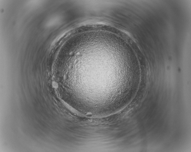 X0000056030871200508221511