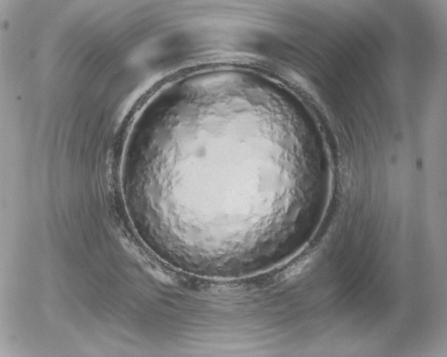 X0000056030875200508221511