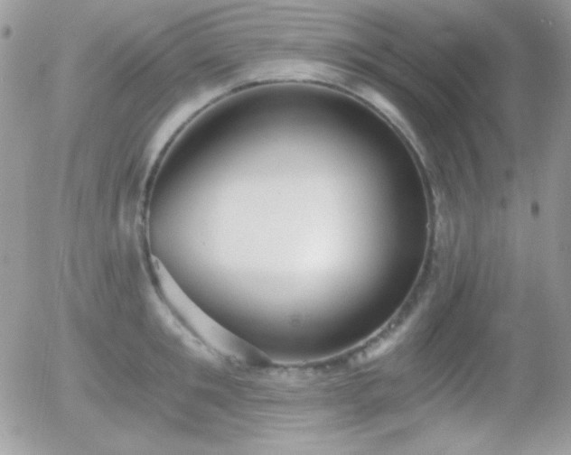 X0000056030901200508221511