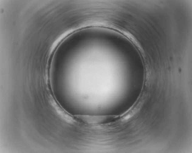 X0000056030904200508221511