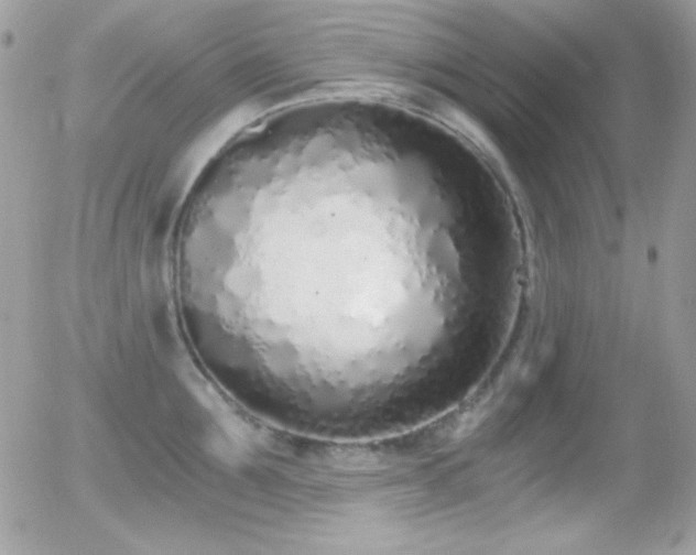 X0000056030907200508221511