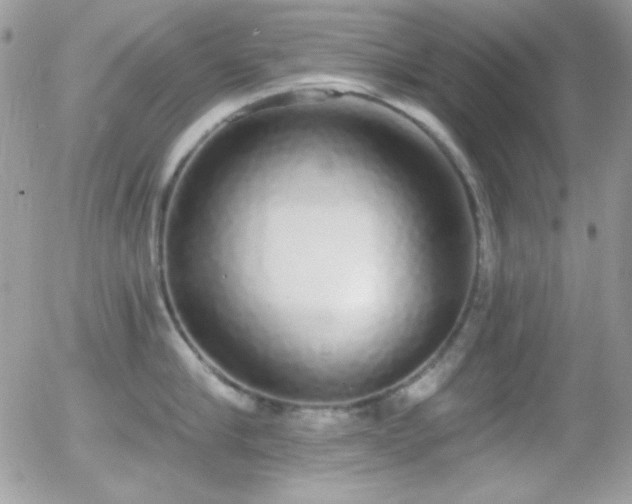 X0000056030910200508221511