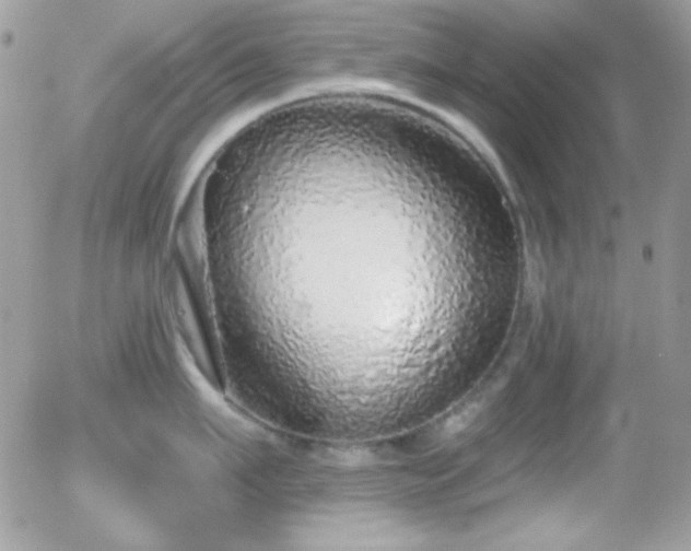 X0000056030911200508221511