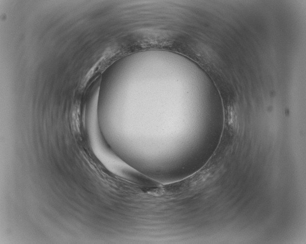 X0000056030915200508221510