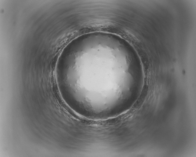 X0000056030917200508221510