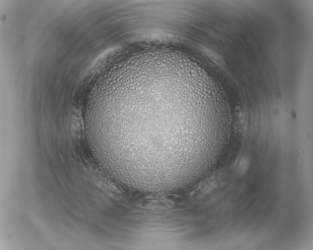 X0000056030918200508221510