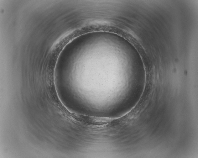 X0000056030919200508221510