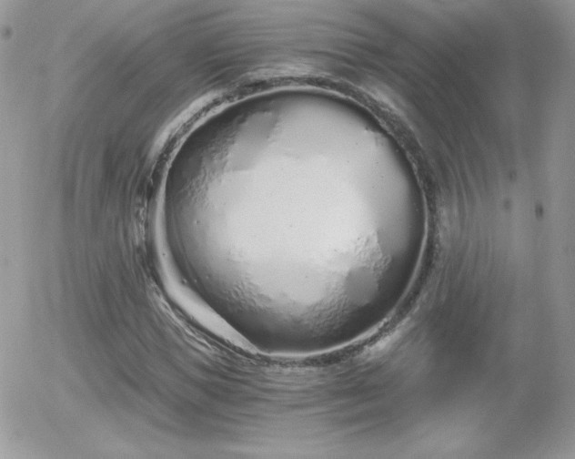 X0000056030921200508221510