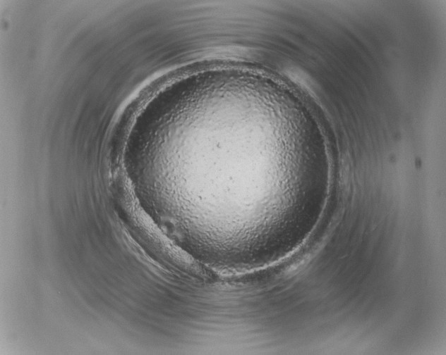 X0000056030923200508221510