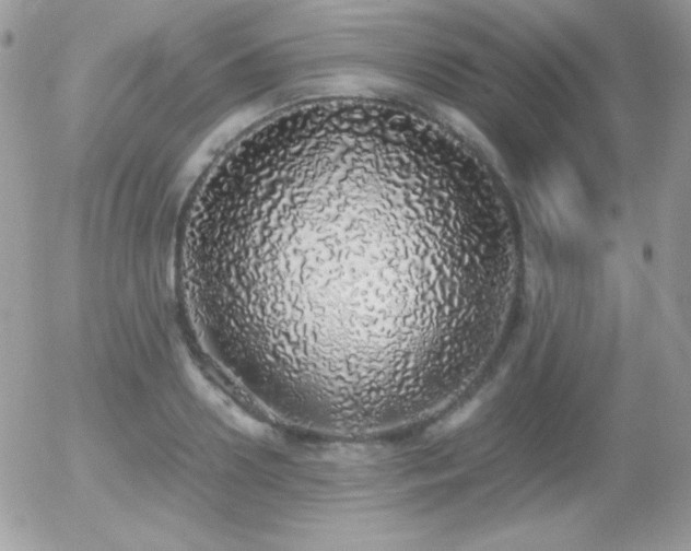X0000056030938200508221510