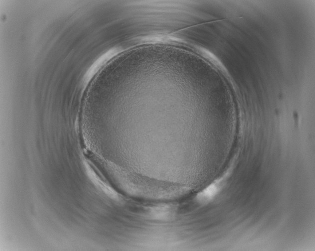 X0000056030946200508221510