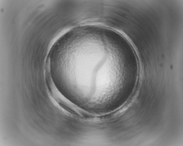 X0000056030957200508221511