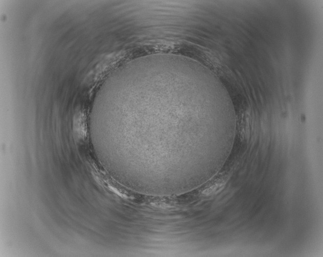 X0000056030962200508221510
