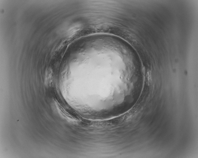 X0000056030963200508221510