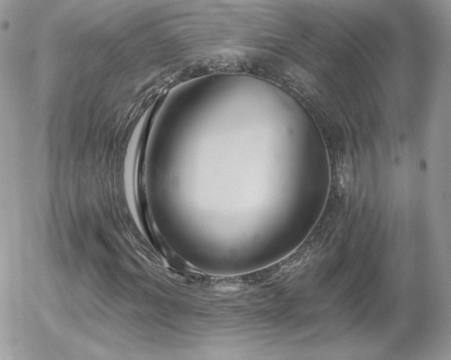 X0000056030964200508221510