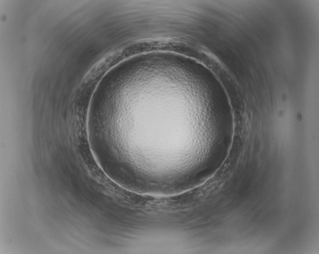 X0000056030967200508221510