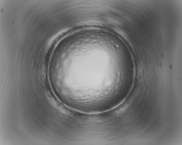 X0000056030979200508221510