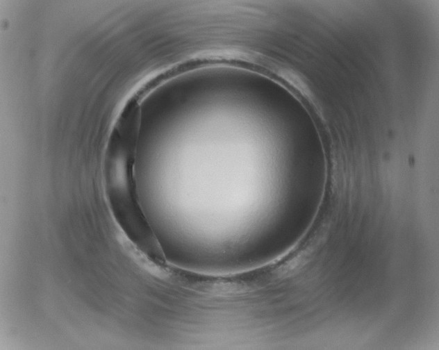 X0000056030984200508221510