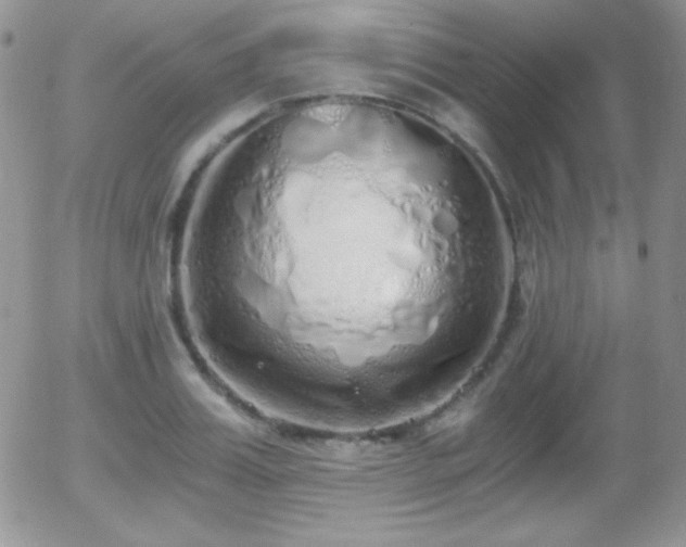 X0000056030987200508221509