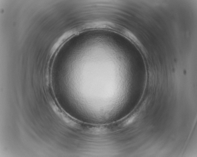 X0000056030994200508221509