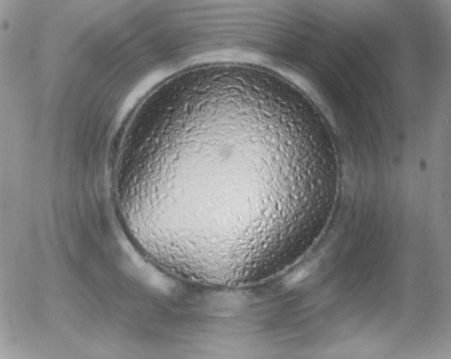 X0000056030998200508221509