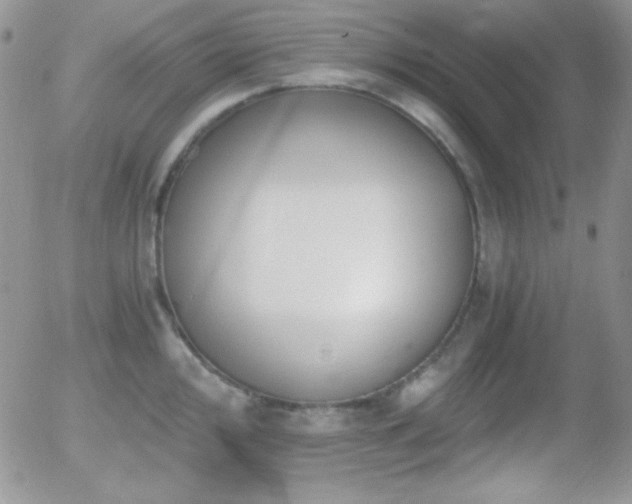 X0000056031000200508221509