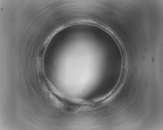 X0000056031001200508221509