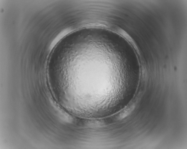X0000056031002200508221509