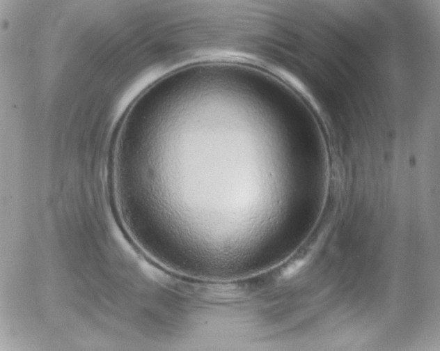 X0000056031007200508221509