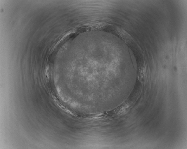 X0000056031010200508221508