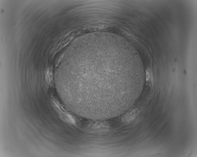 X0000056031011200508221508