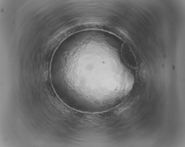 X0000056031015200508221508