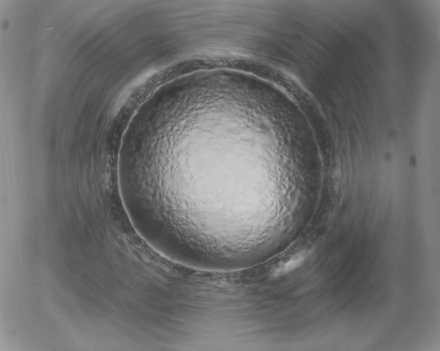 X0000056031016200508221508