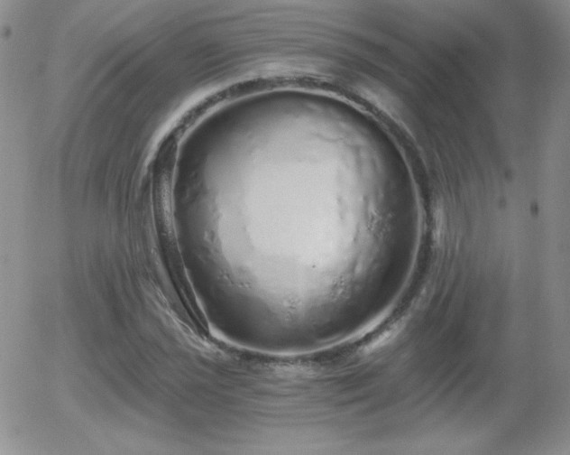 X0000056031021200508221509