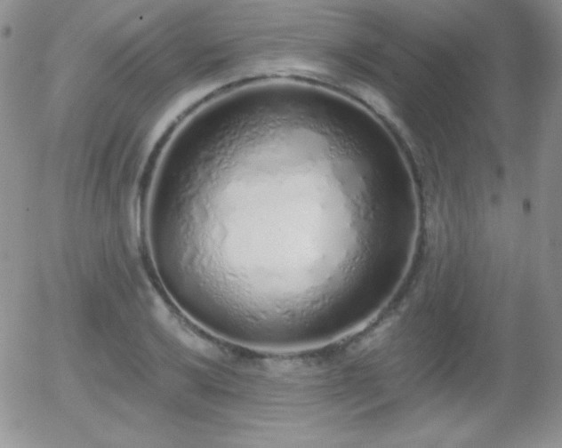 X0000056031032200508221509