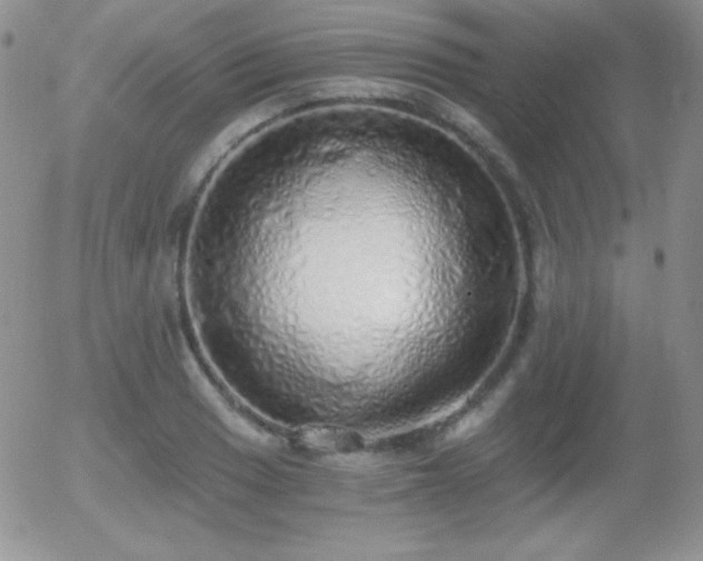 X0000056031033200508221509