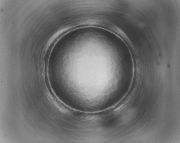 X0000056031035200508221509