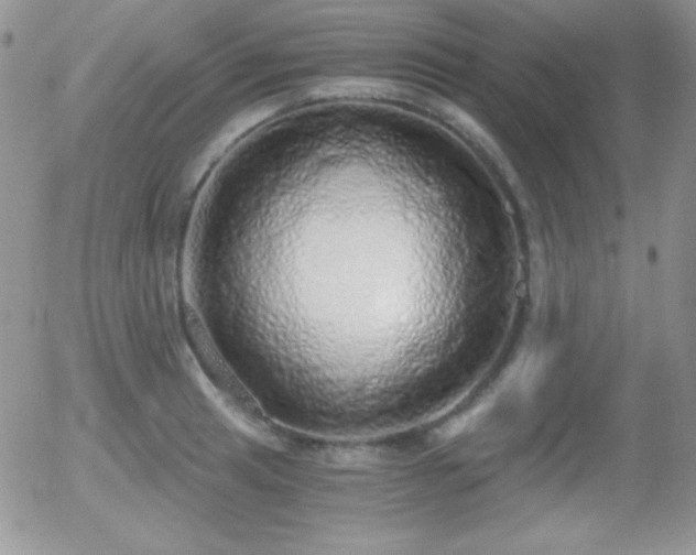 X0000056031041200508221509