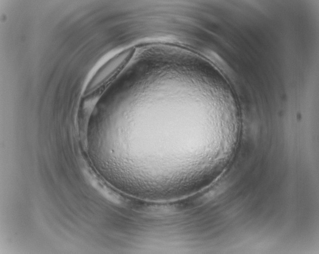 X0000056031044200508221509
