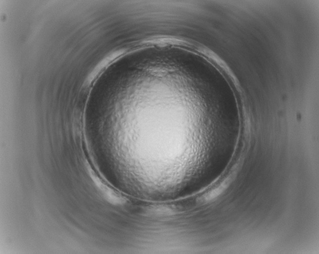X0000056031049200508221509