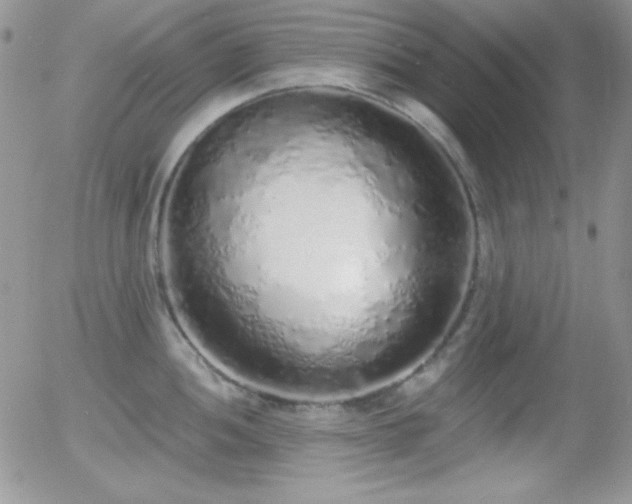 X0000056031052200508221509