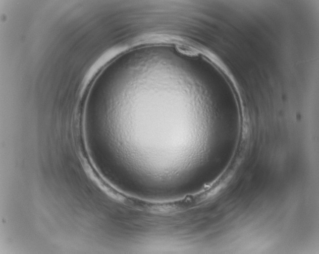 X0000056031053200508221509