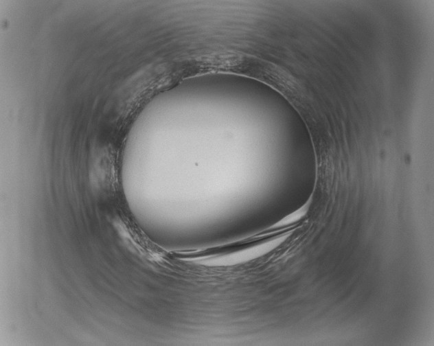 X0000056031058200508221508