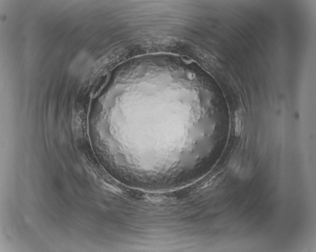 X0000056031059200508221508