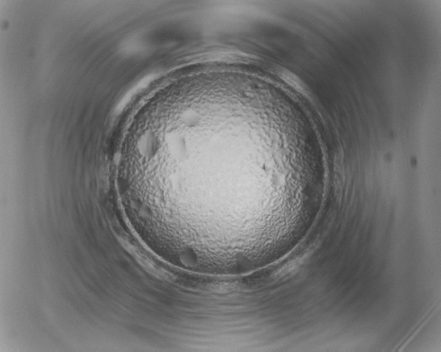 X0000056031067200508221508
