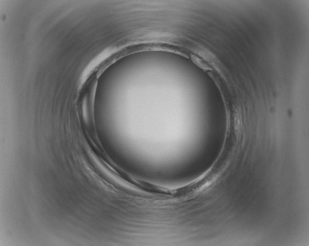 X0000056031069200508221508