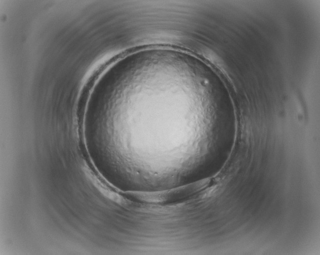 X0000056031072200508221508