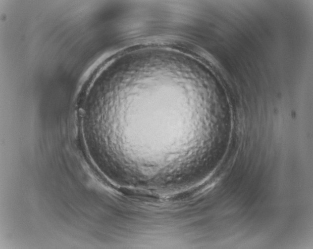 X0000056031075200508221508